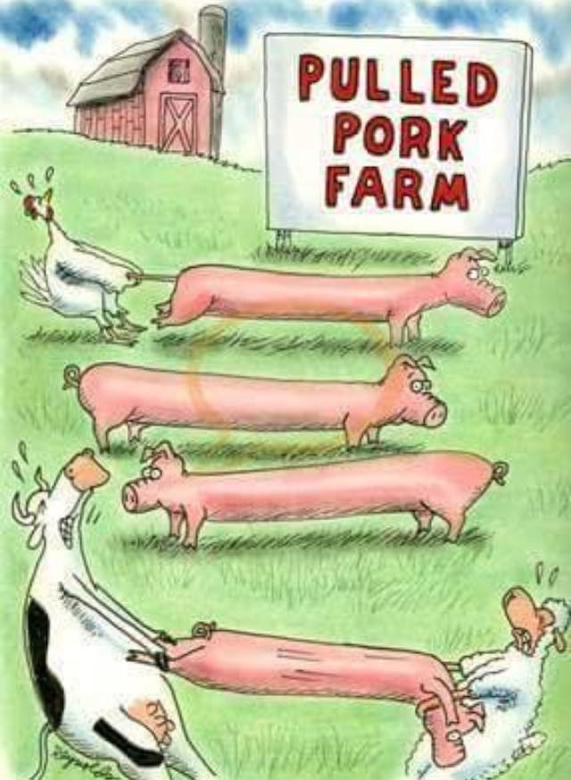 Pulled Pork Farm - almena meat company 